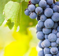 Eden Road Wines