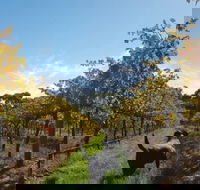 Ruddenklau Wines - Accommodation Broome