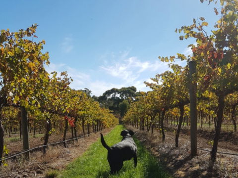 Ruddenklau Wines - Accommodation Broome 0