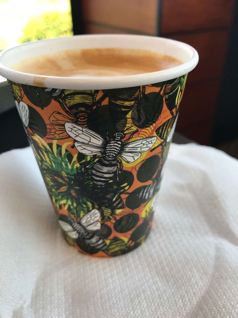Gallery Cafe - Accommodation Broome 0
