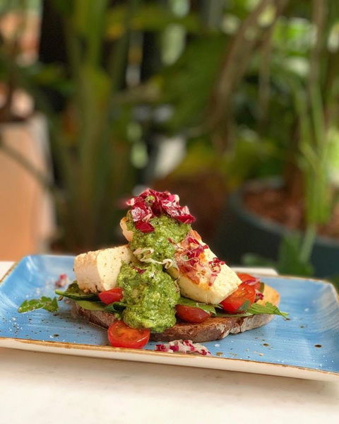 Green Moustache - Accommodation Broome 0