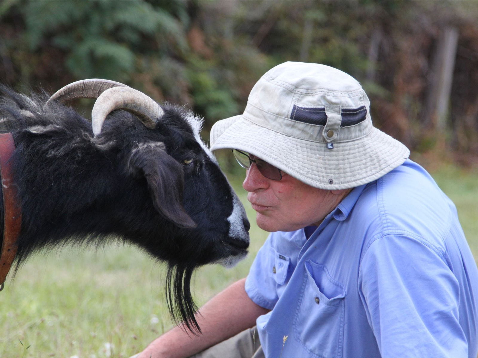 Karoola TAS Accommodation Broome