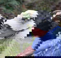 Providence Vineyards - Accommodation Broome