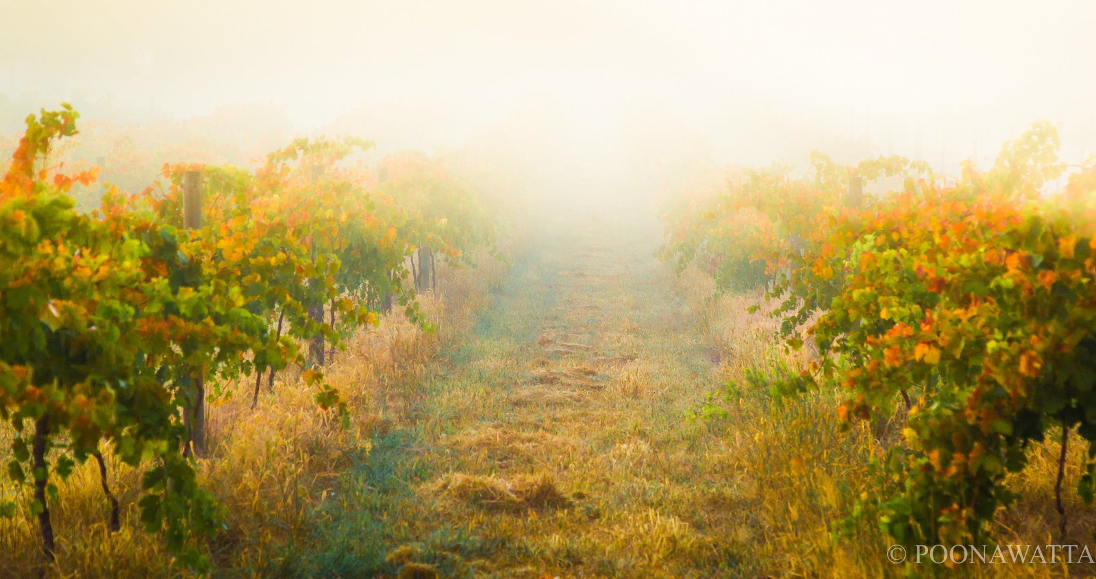 Flaxman Valley SA Accommodation Broome