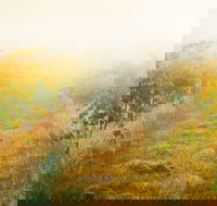 Poonawatta - Accommodation Broome