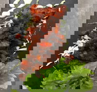 Royal India Restobar - Accommodation Broome