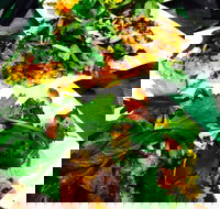 The Local Shed Cafe - Accommodation Broome