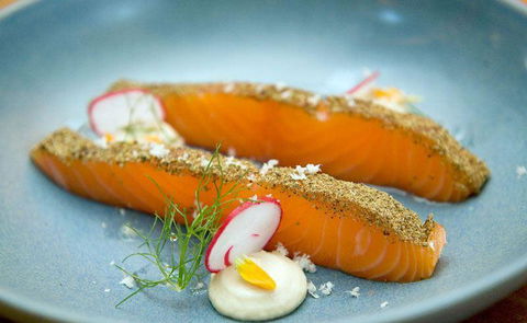 Seed Winehouse + Kitchen - Accommodation Broome 9