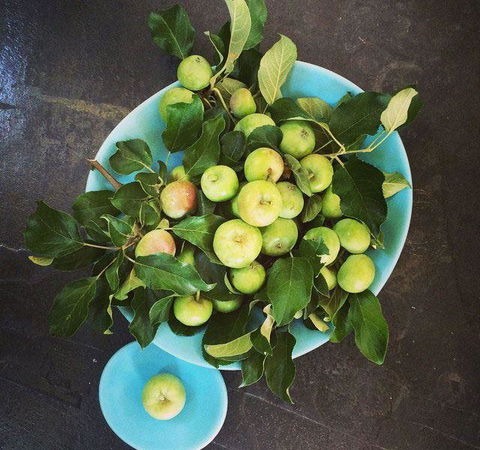 Seed Winehouse + Kitchen - Accommodation Broome 6