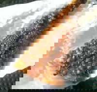 A Brothers Kebabs  Pizzas - Accommodation Broome