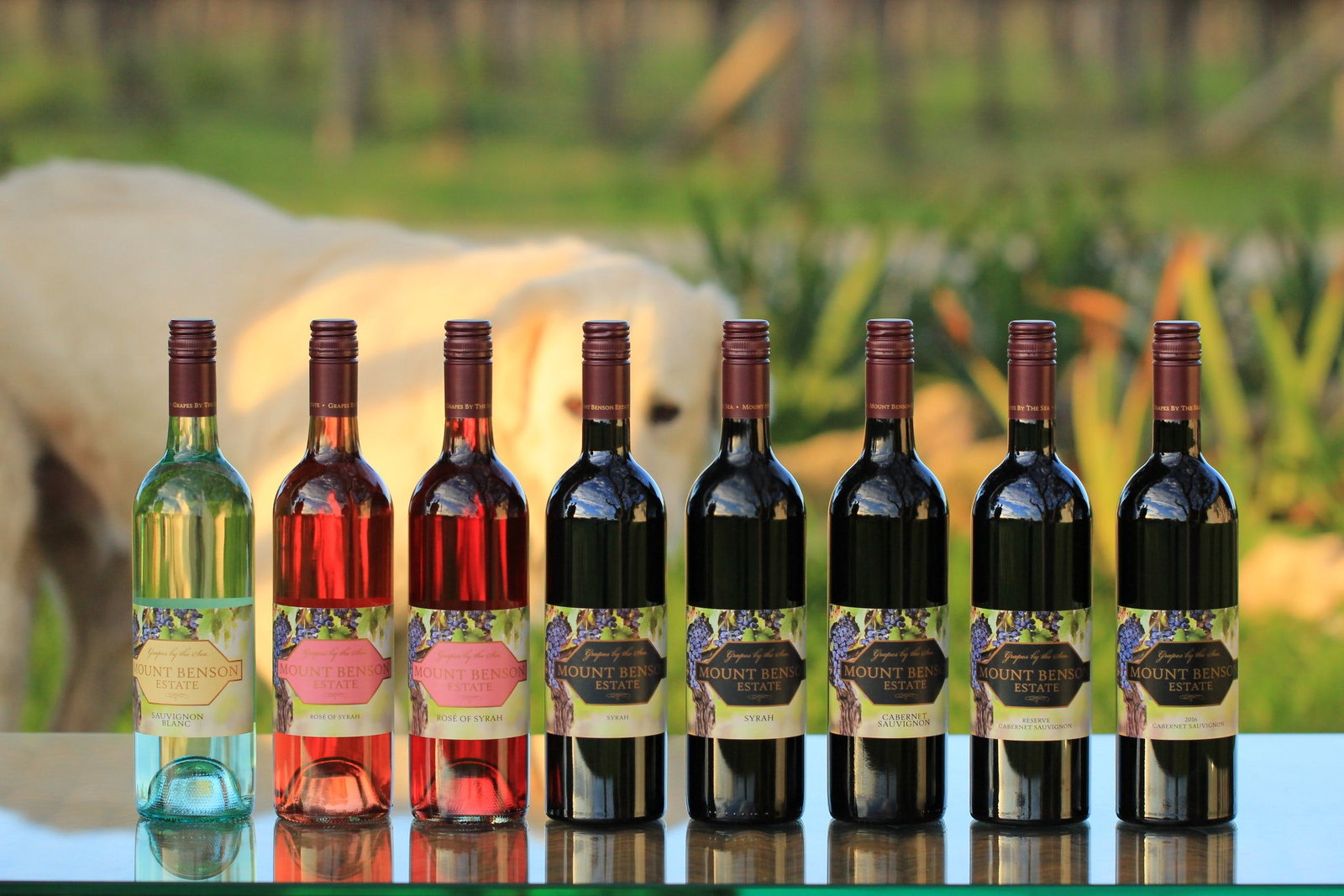 Kingston SA Accommodation Broome