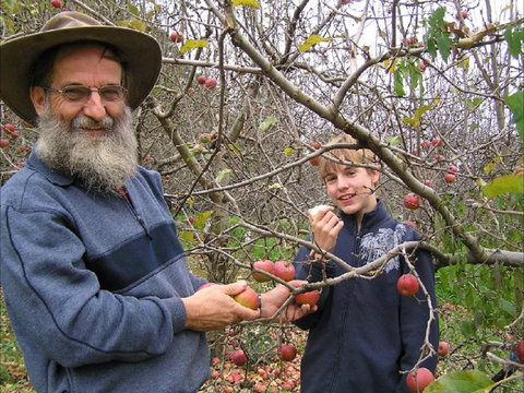 Pine Crest Orchard - Accommodation Broome 0