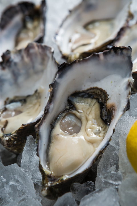 Lobster Shack Tasmania - Accommodation Broome 1