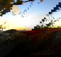 Glenbosch Wine Estate - Accommodation Broome