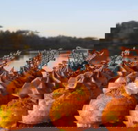 Wharf Street Cafe - Accommodation Broome