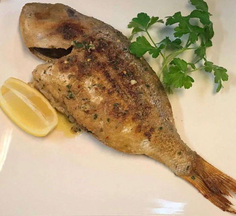 Sassone Cucina Italiana - Accommodation Broome 0