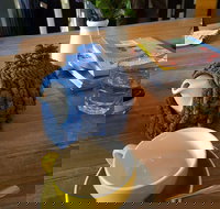 Espressohead - Accommodation Broome