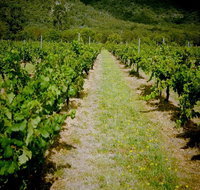 Gartelmann Wines
