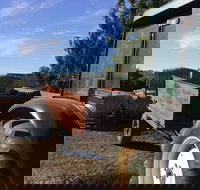 Massena - Accommodation Broome