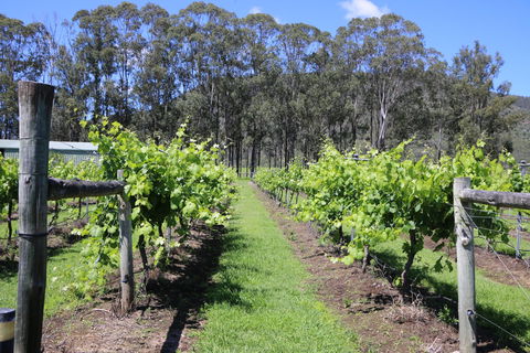 Woongooroo Estate Winery - Accommodation Broome 0