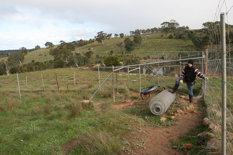 Hahndorf Venison - Accommodation Broome 1
