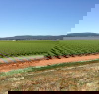 Melange Wines - Accommodation Broome