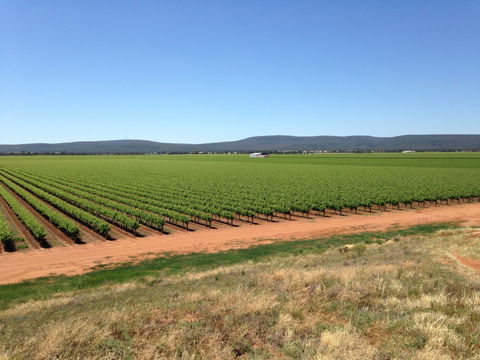 Melange Wines - Accommodation Broome 0
