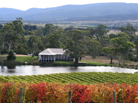 Milton Vineyard - Accommodation Broome 0