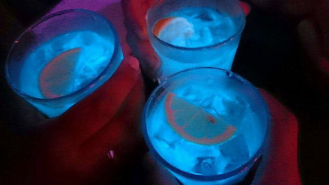 Humming Bird Dutch Cakes - Accommodation Broome 0