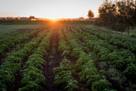 Phoenix Park Farm Gate - Accommodation Broome 0