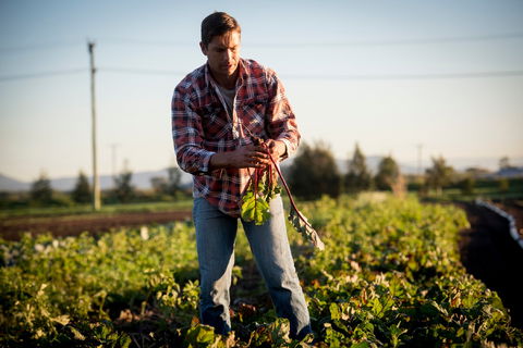 Phoenix Park Farm Gate - Accommodation Broome 1