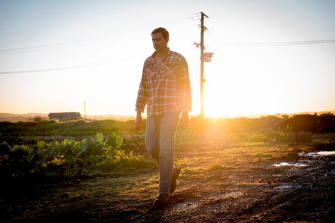 Phoenix Park Farm Gate - Accommodation Broome 2