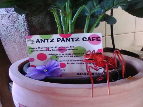 Antz Pantz Cafe - Accommodation Broome 0