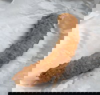 Blue Ocean - Accommodation Broome