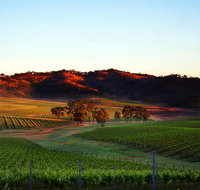 Dalwhinnie Wines - Accommodation Broome