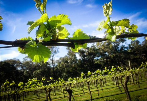 Michael Unwin Wines - Accommodation Broome 1