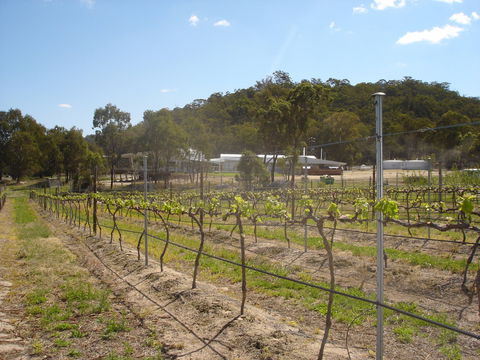 Banca Ridge Cellar Door And Vineyard - Accommodation Broome 2