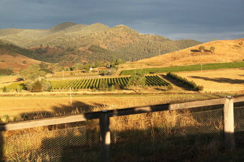 Optimiste Wines - Accommodation Broome 0