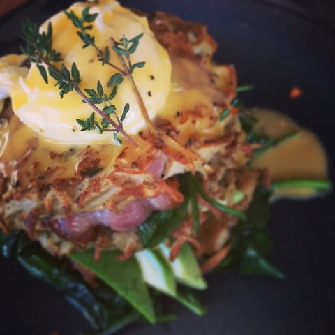 The Office On Harrogate - Accommodation Broome 0