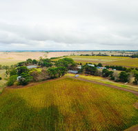 Pettavel Wines