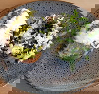 Frothy - Accommodation Broome