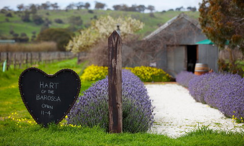Hart Of The Barossa - Accommodation Broome 0
