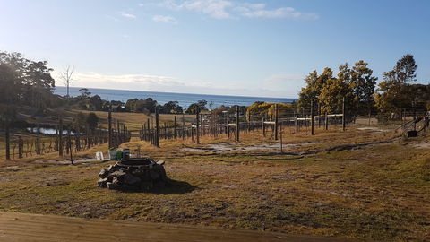 Overtime Vineyard - Accommodation Broome 0