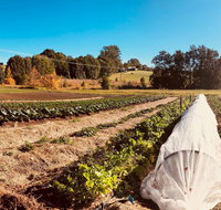 Synchronicity Farm