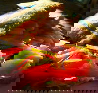 Gardners Inn Bistro - Accommodation Broome