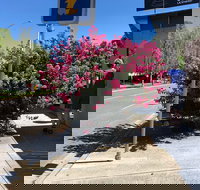 Alpine Gate Cafe - Accommodation Broome