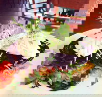 Succulent Cafe - Accommodation Broome