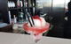 Morsels At Mudgeeraba - thumb 11