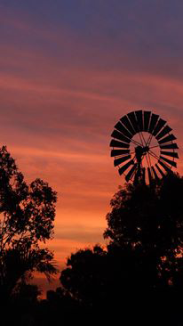 Emerald Springs Roadhouse - Accommodation Broome 4