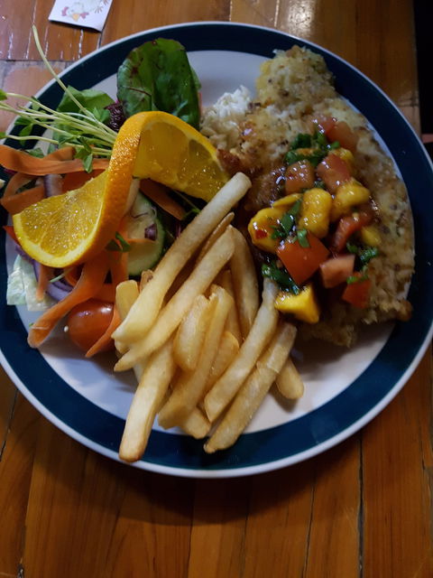 Silky Oak Tea Gardens - Accommodation Broome 4